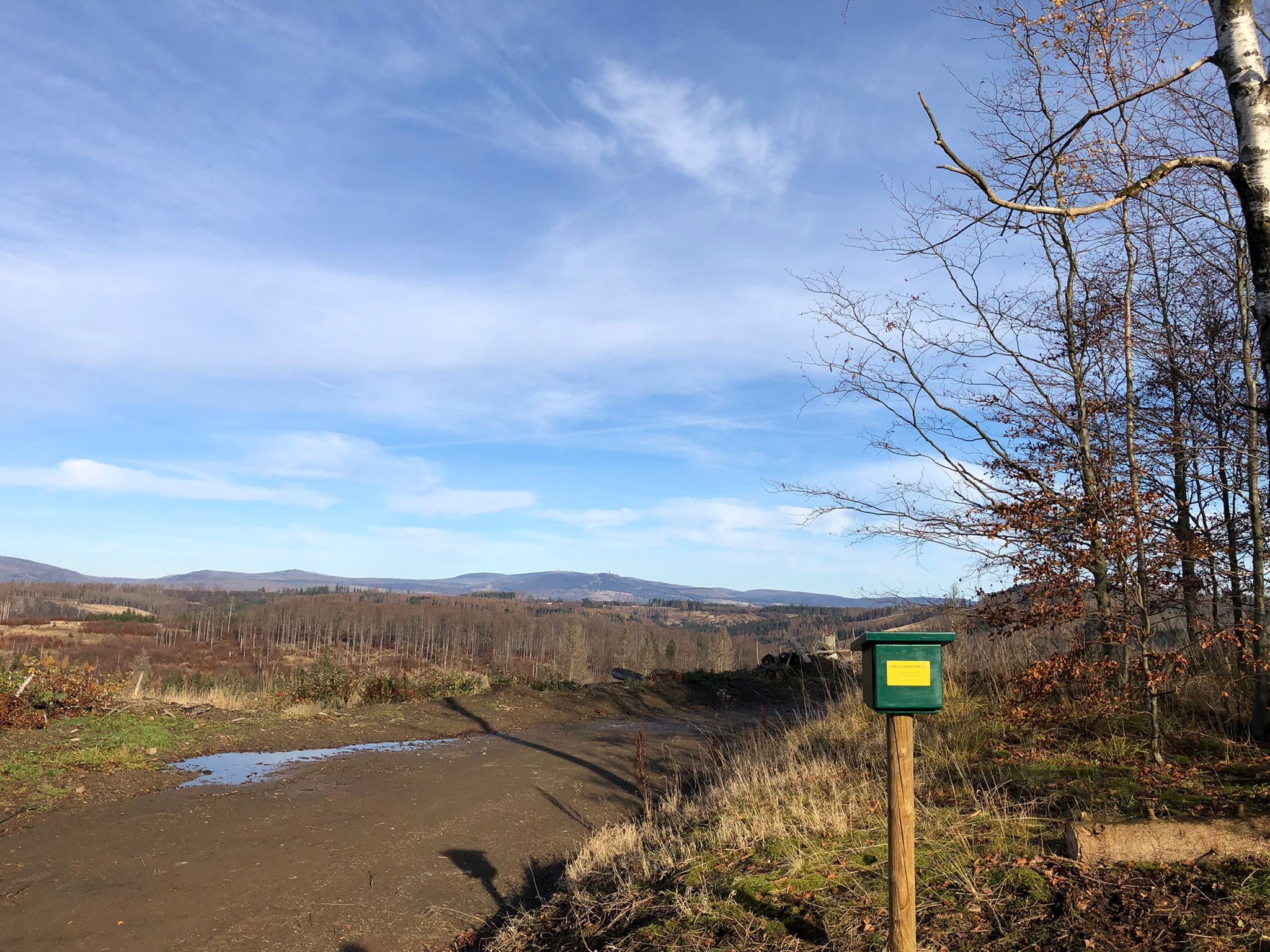 Forest path with views of hills and blue sky