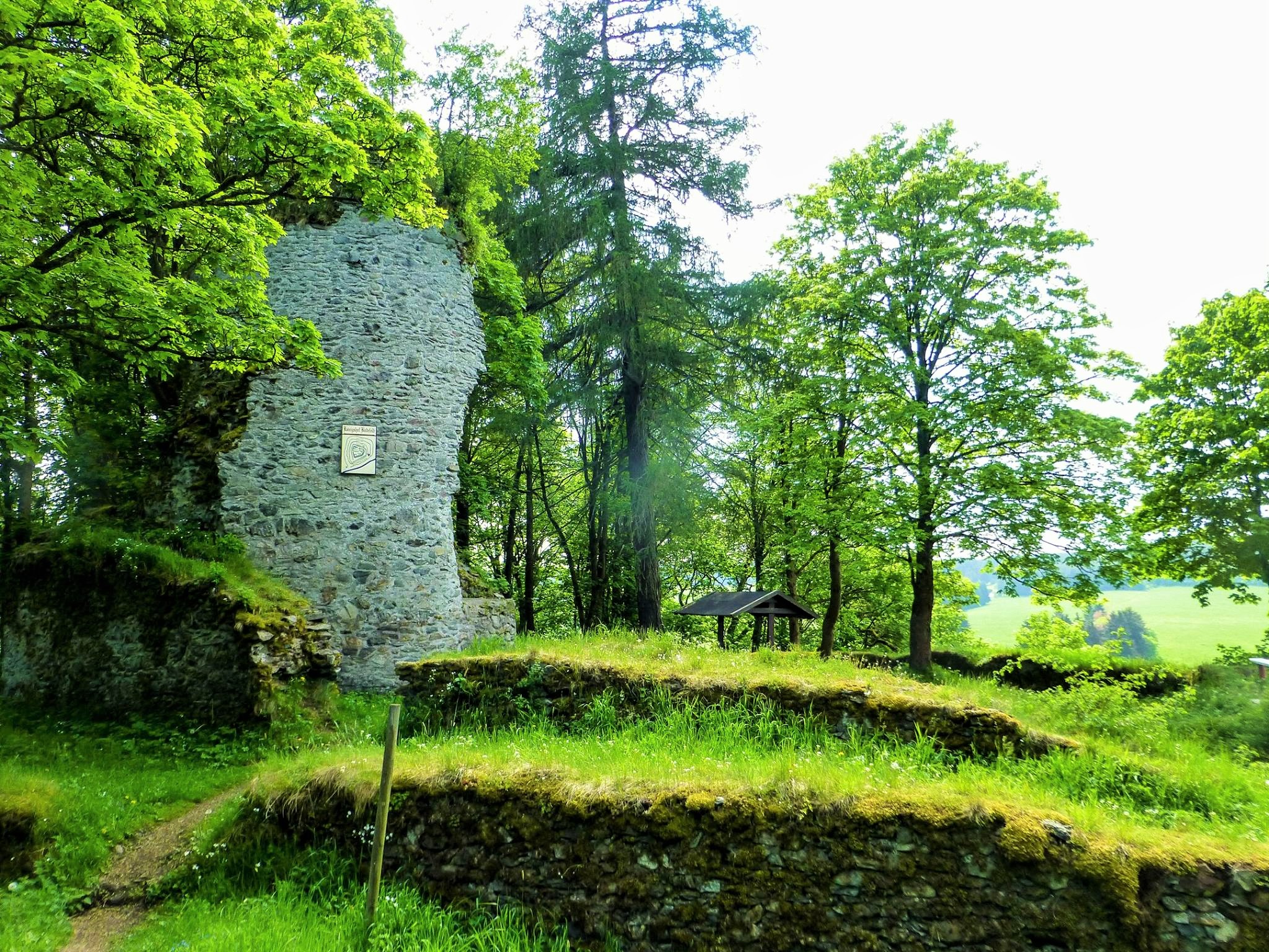 Burgruine im Wald mit grüner Natur