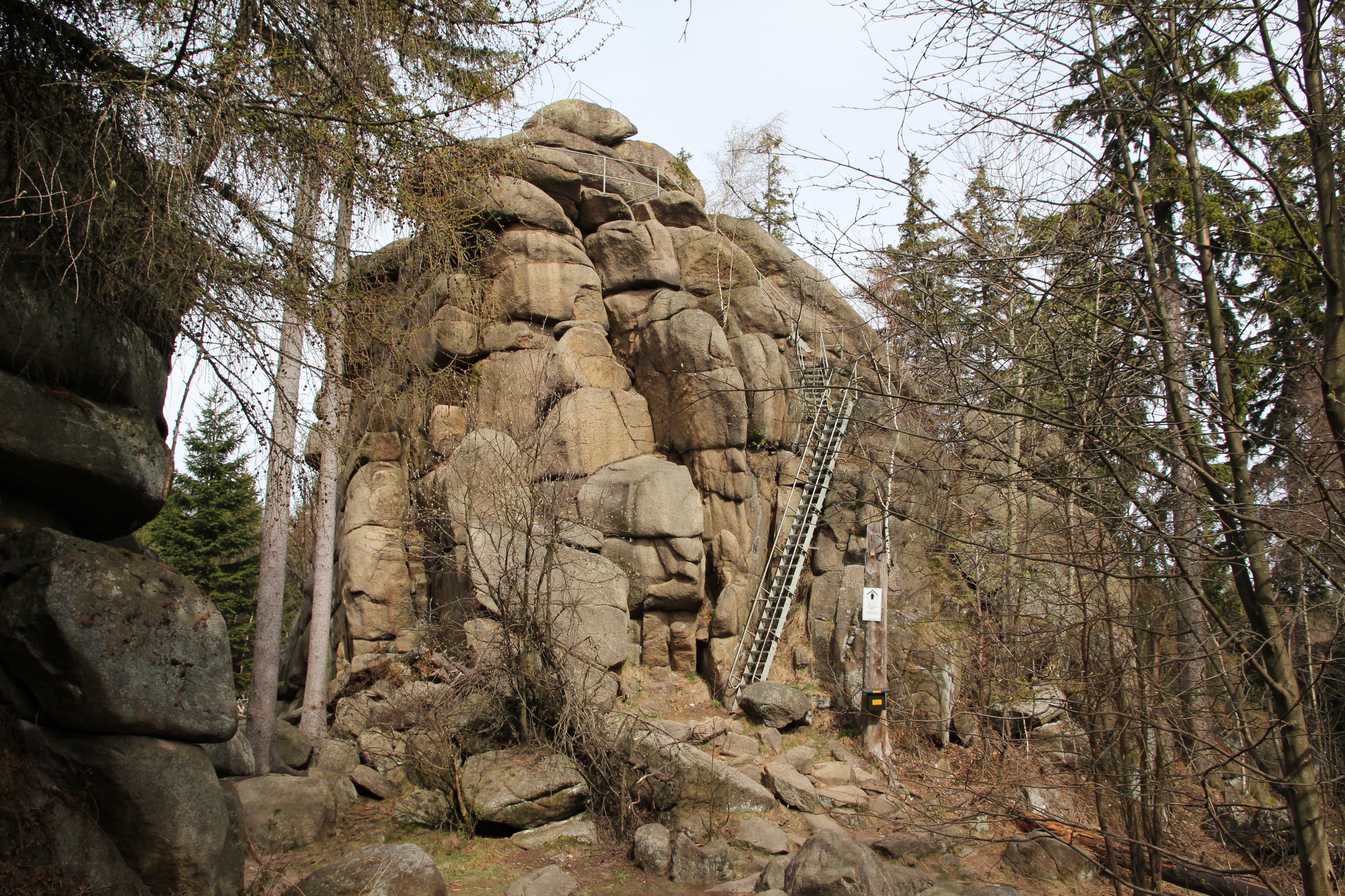 Rock formation with ladder in the forest