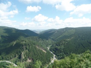 Extensive green forests in a mountainous landscape