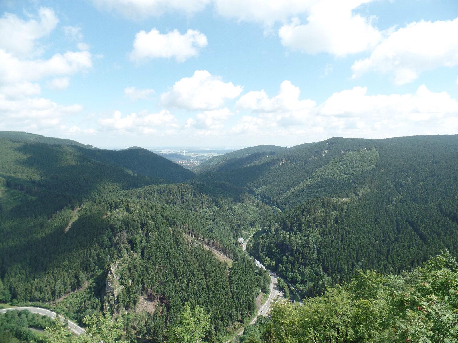 Extensive green forests in a mountainous landscape