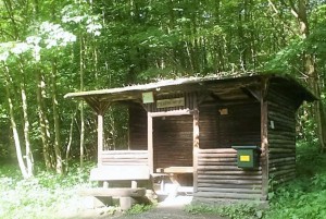 Wooden hut in the forest with bench