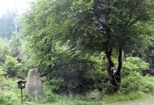 Gedenkstein unter Bäumen im grünen Waldgebiet