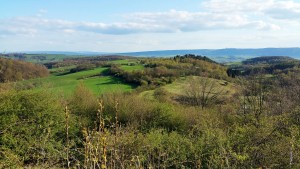 Green hills with fields and forest under a blue sky