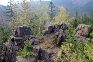 Rock formation in the forest mountains with trees