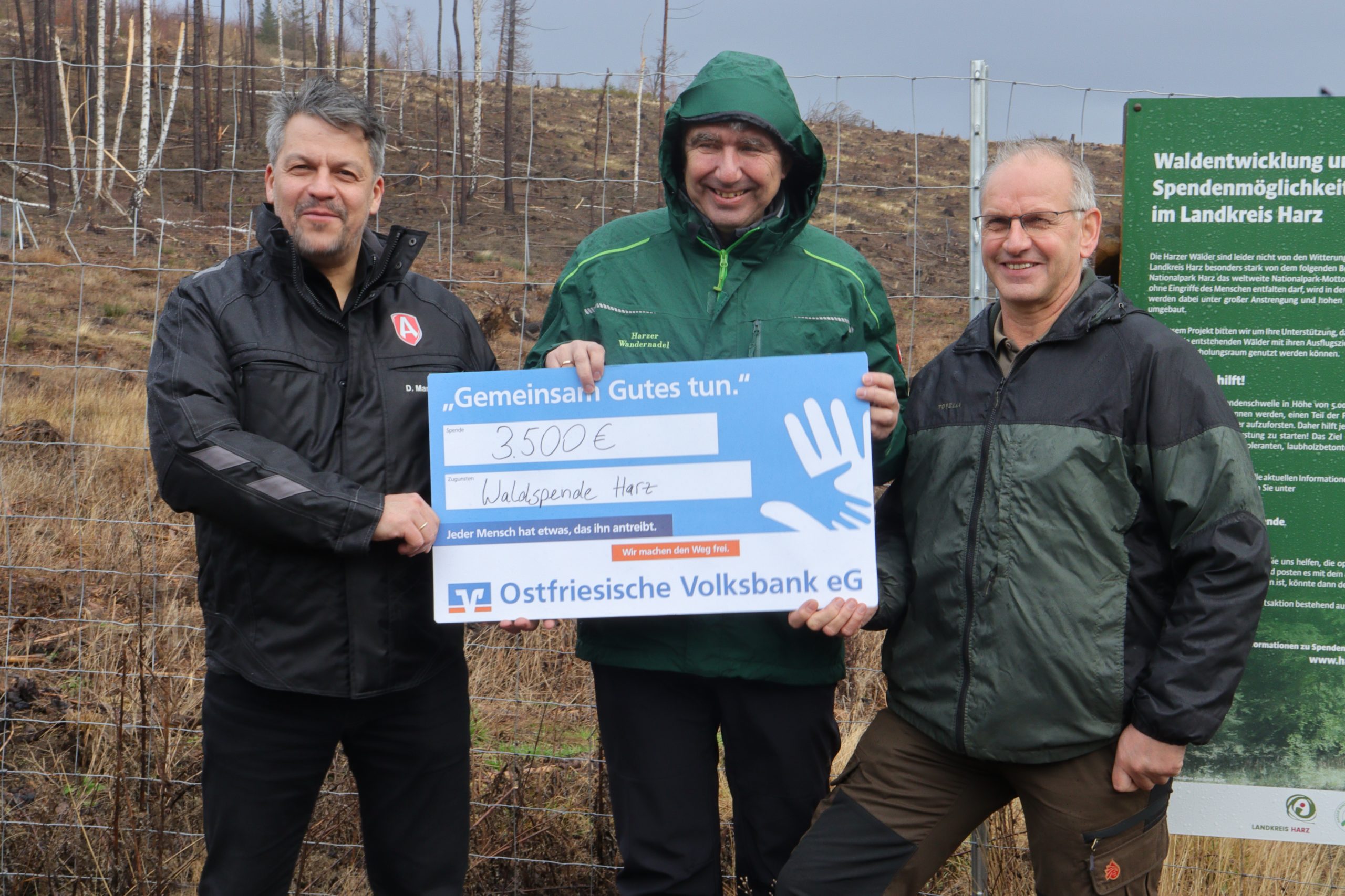 Donations handed over for reforestation in the Harz Mountains