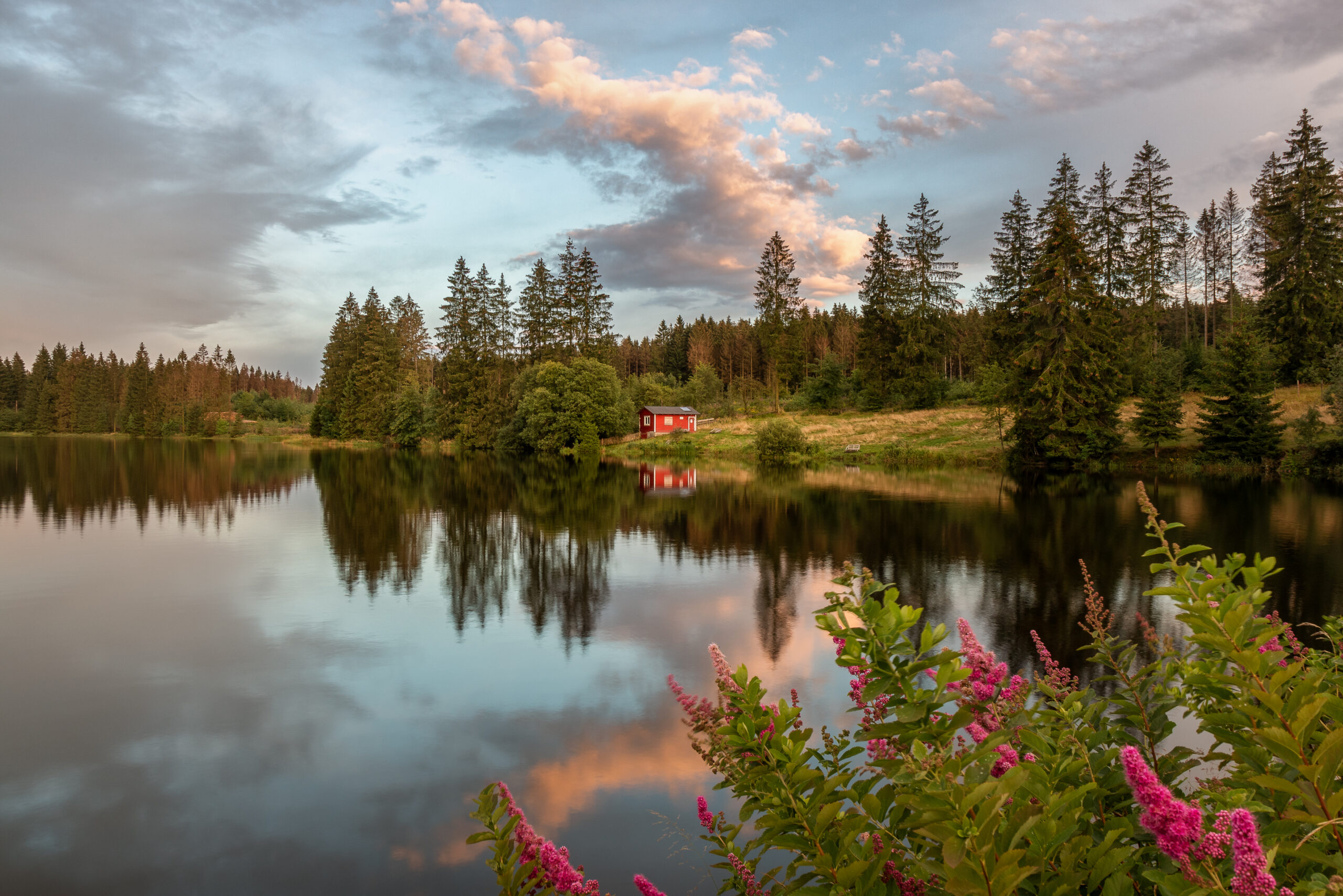 Rotes Haus am See im Wald