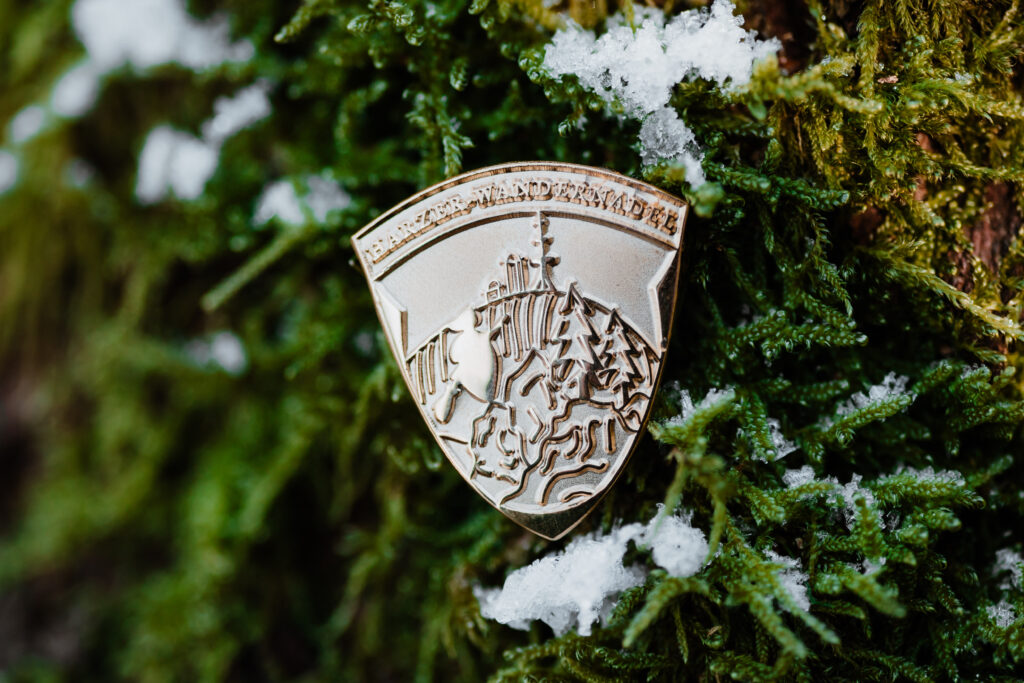 Harzer Wandernadel badge in gold in moss with snow