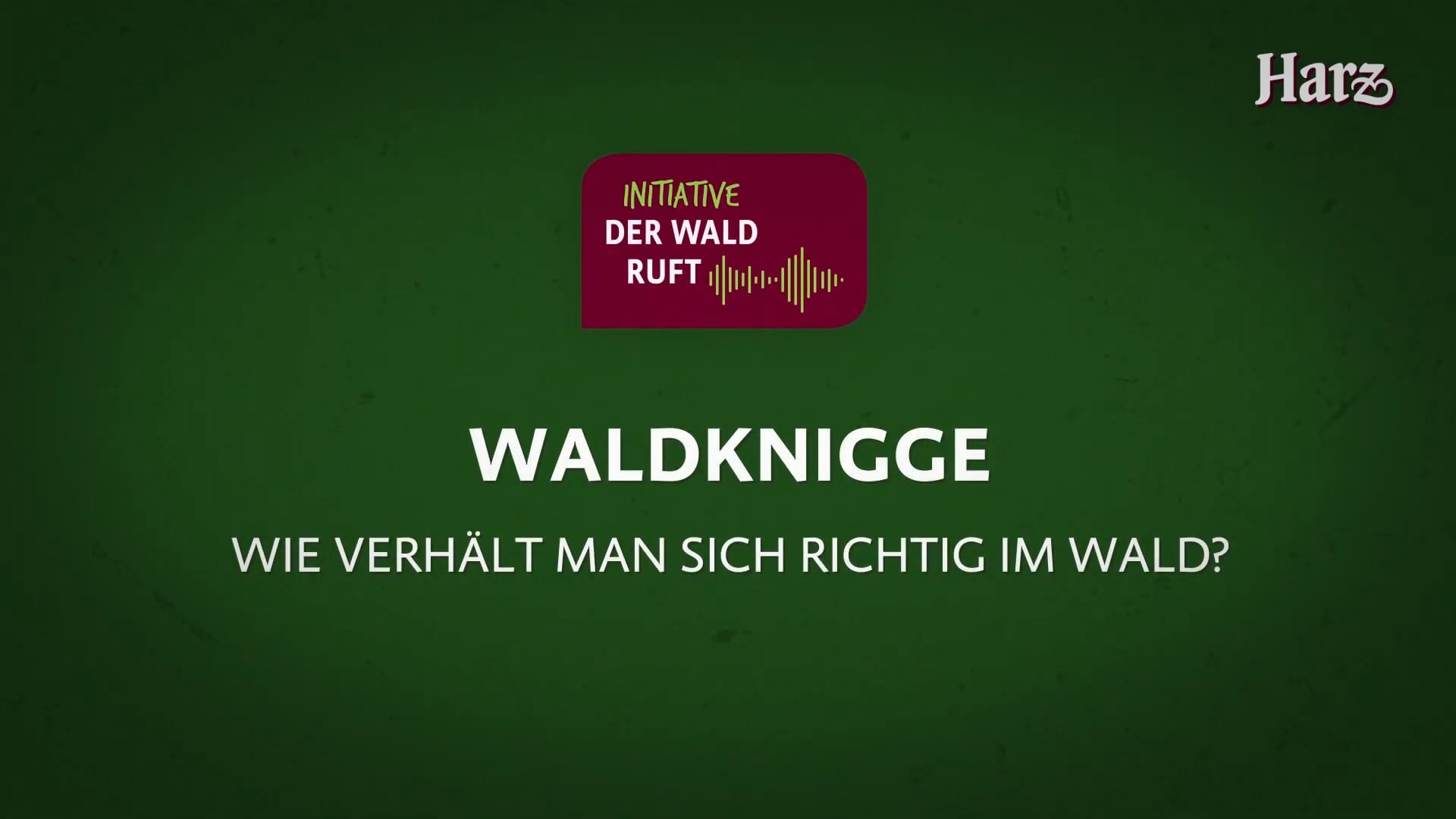 Waldknigge: Verhalten im Wald lernen