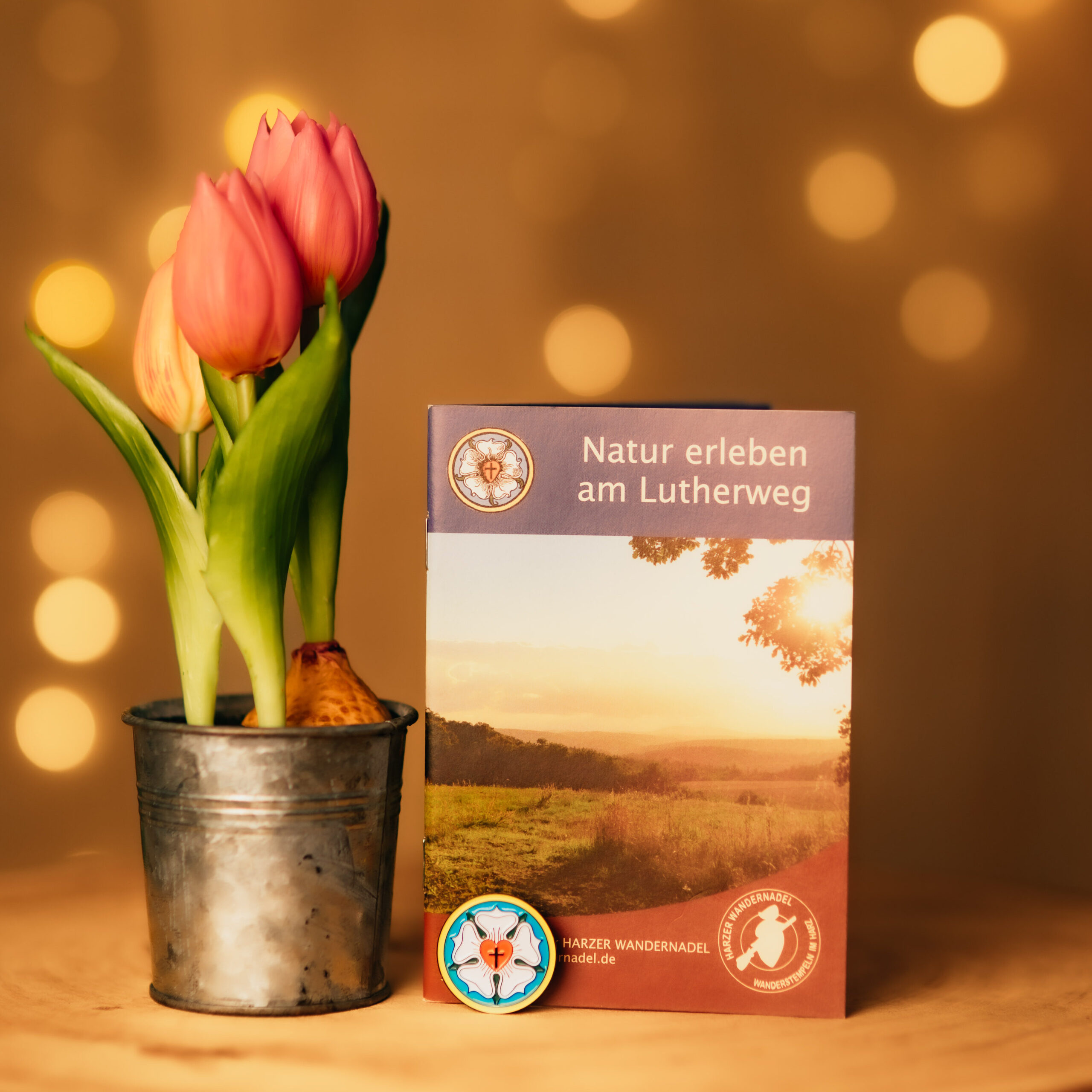 Tulips and flyers about the Luther Trail on a wooden table