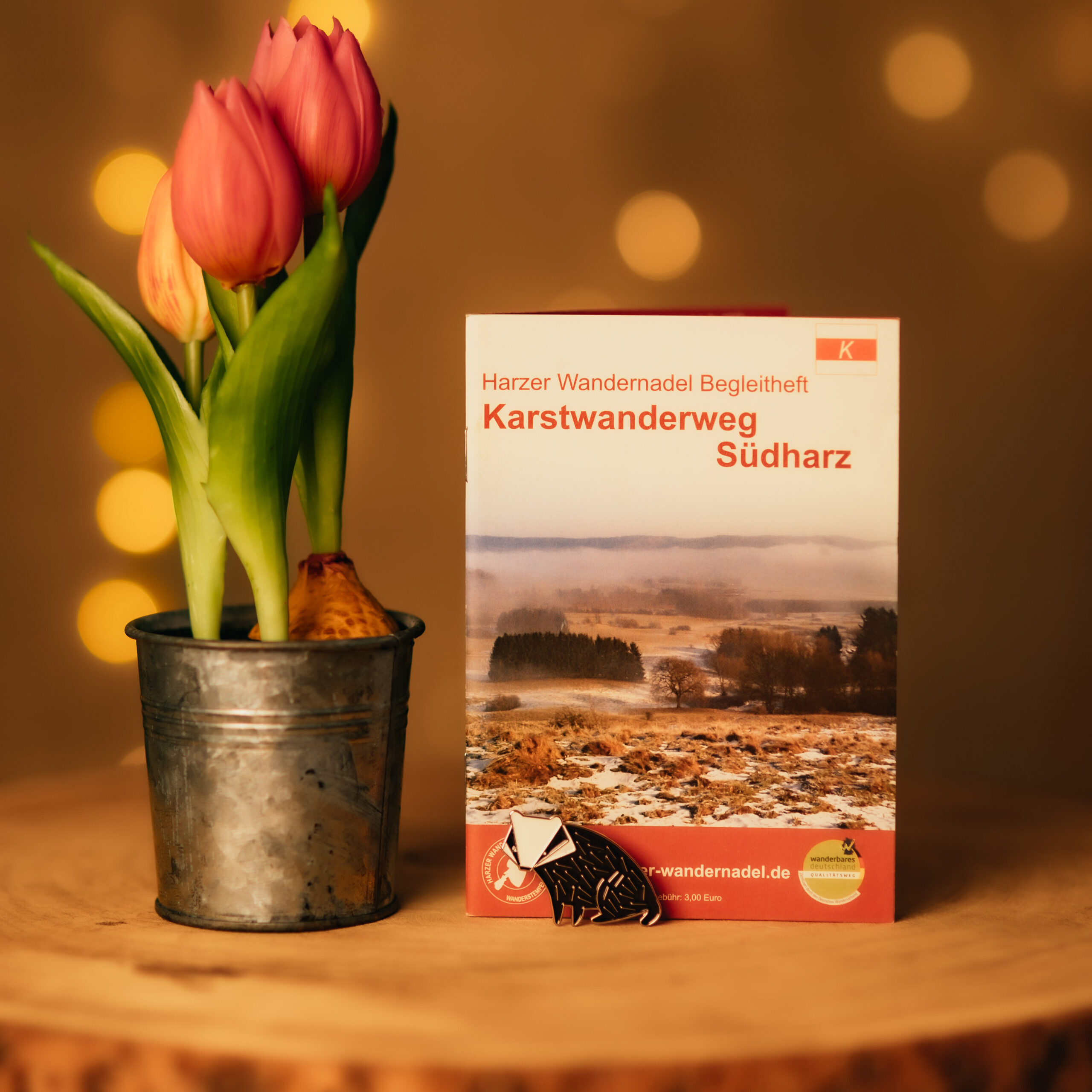Tulips and hiking booklet Karstwanderweg Südharz on the table