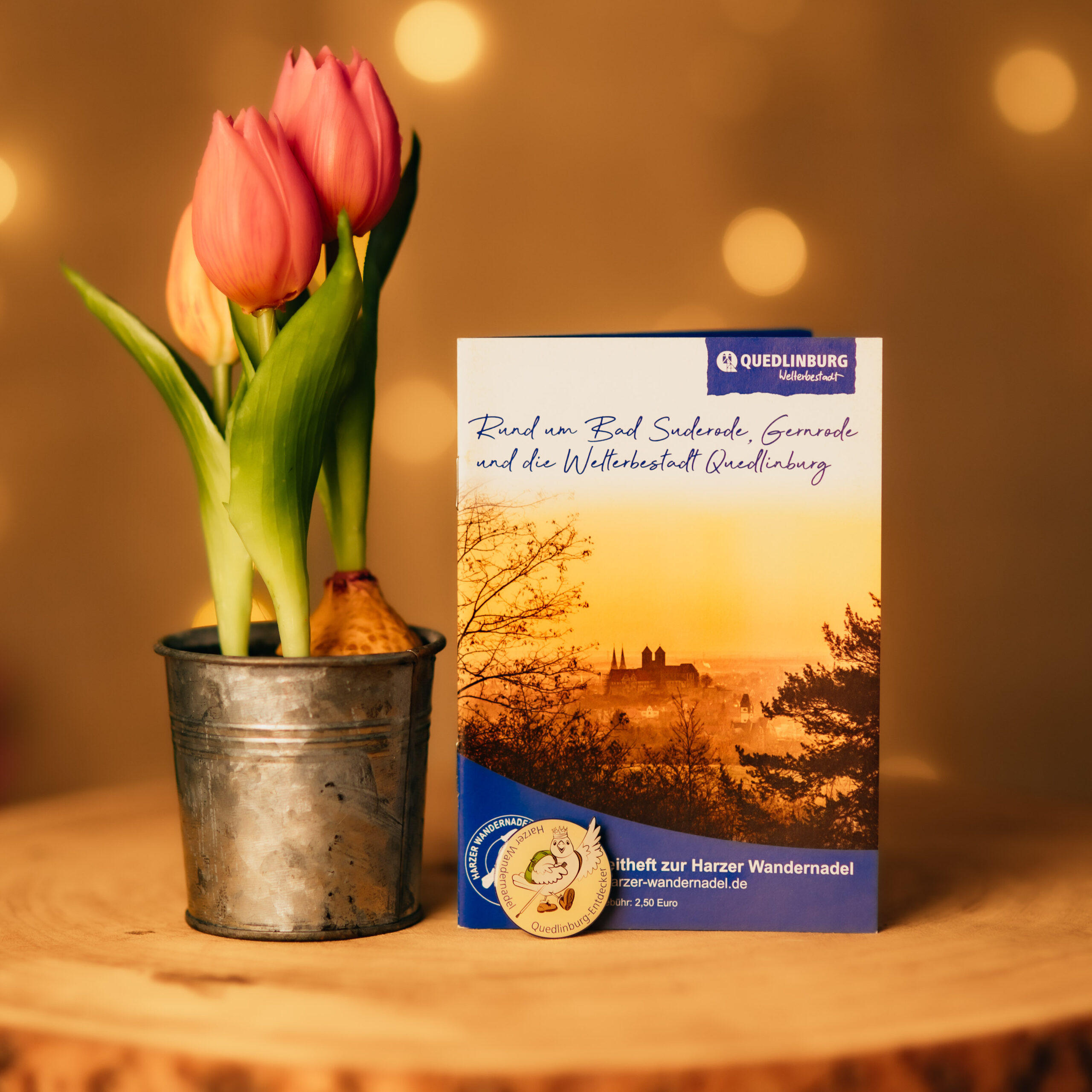 Tulips next to Quedlinburg booklet on wooden table