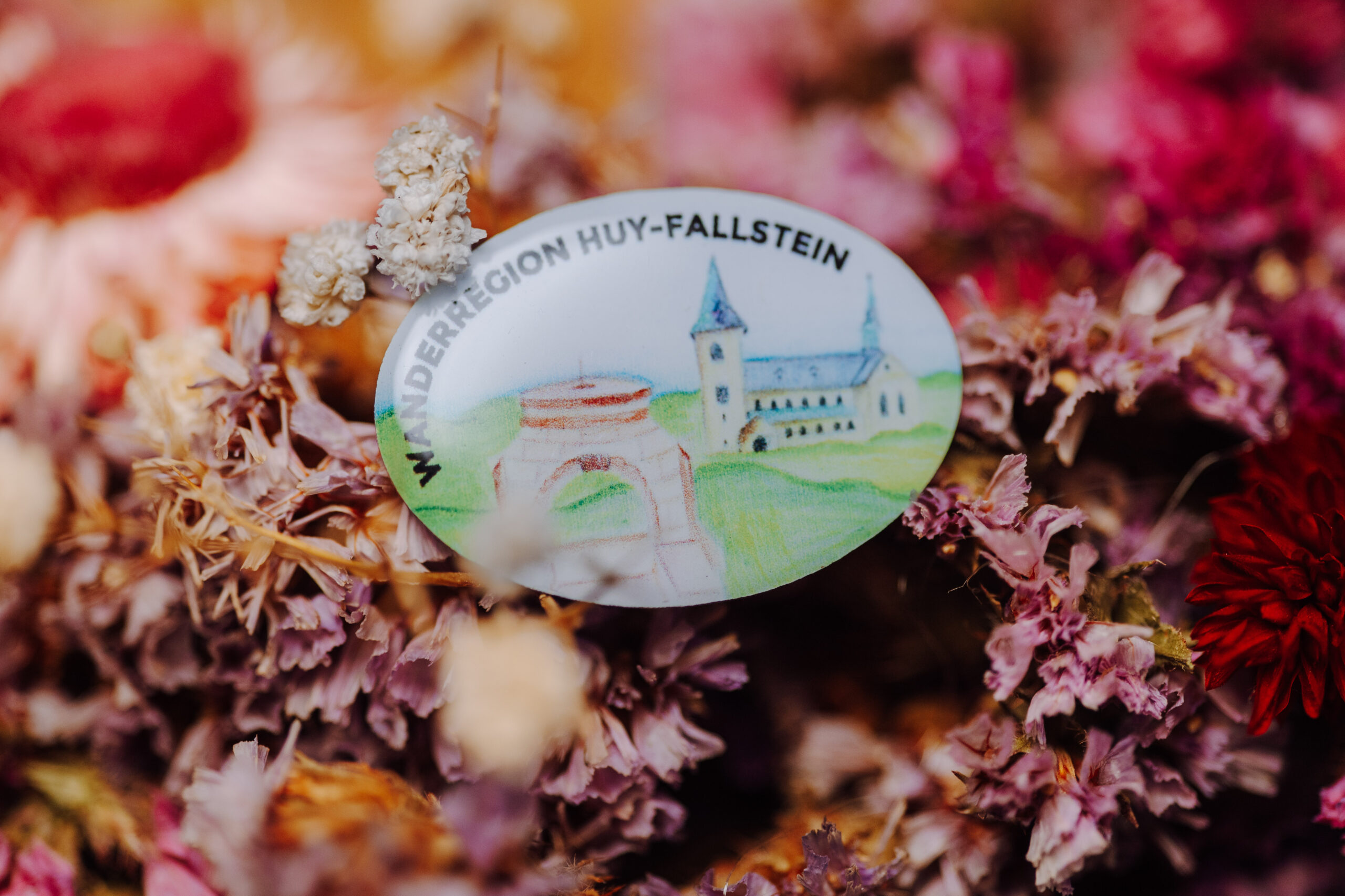 Themenabzeichen Huy-Fallstein mit selbstgemalten Motiv einer Schülerin des Huy-Fallstein Gymnasiums